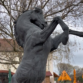 Gut Graßdorf